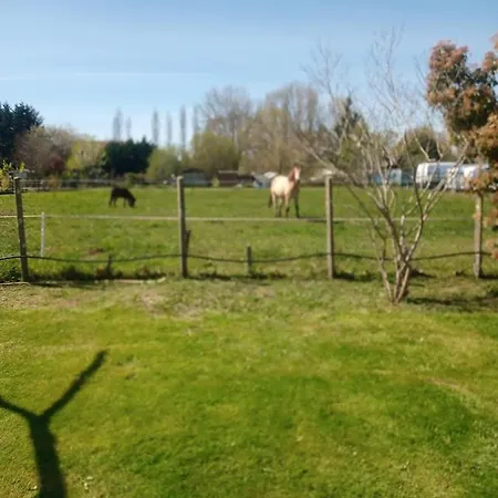 Mon Petit Coin De Paradis * Puyoo